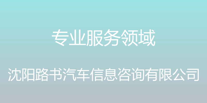 专业服务领域 - 沈阳路书汽车信息咨询有限公司